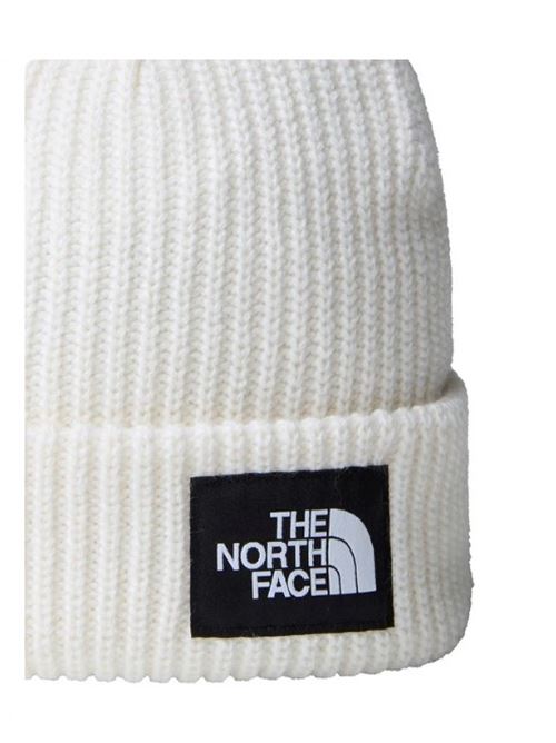 salty lined beanie THE NORTH FACE | NF0A3FJWQLI1.QLI1